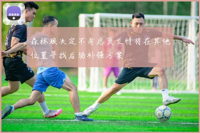 森林狼决定不考虑莫兰特将在其他位置寻找后场补强方案