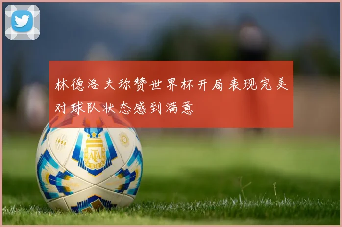 林德洛夫称赞世界杯开局表现完美对球队状态感到满意